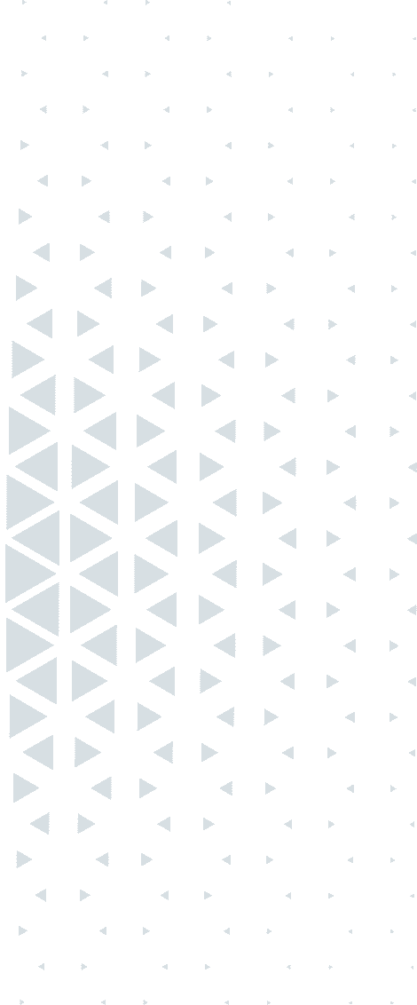 vector design