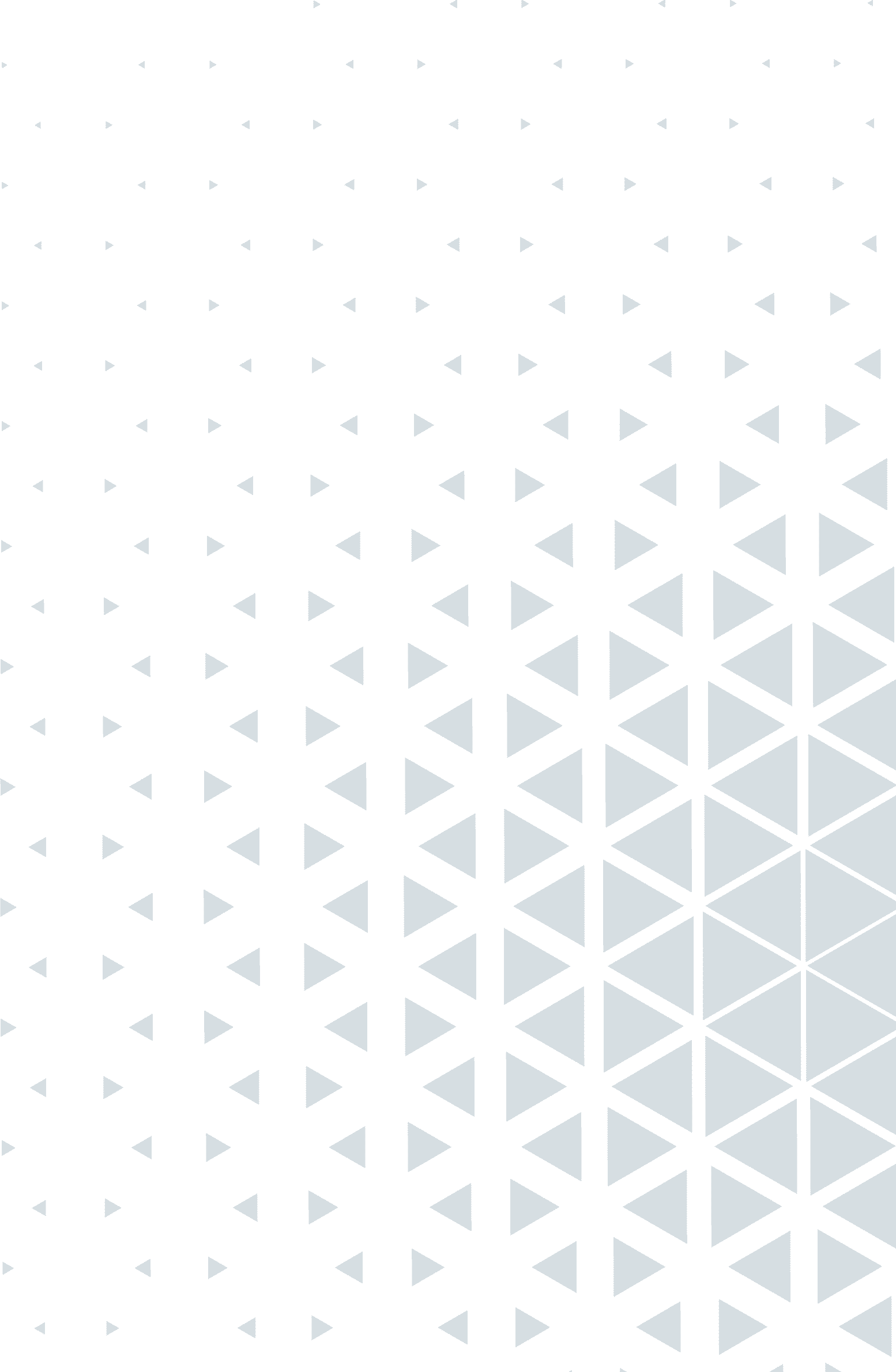 vector design